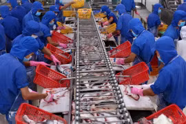 Hausse de 10% des exportations des produits aquatiques 