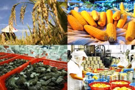 Produits agricoles, sylvicoles et aquatiques : 38 milliards de dollars d’exportation visés en 2018
