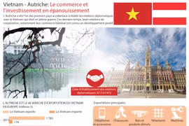 [Infographie] Vietnam - Autriche: Le commerce et l’investissement en épanouissement