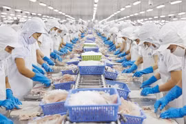 Hausse à deux chiffres des exportations nationales de produits aquatiques au 1er trimestre