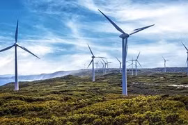 Binh Dinh: mise en œuvre d’un nouveau projet d’énergie éolienne en 2018