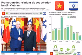 Promotion des relations de coopération Vietnam - Israël