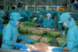 Vers une exportation durable des produits agricole, sylvicole et aquatique