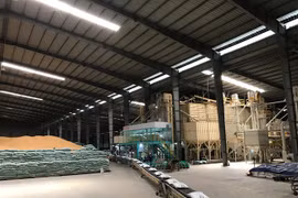 Le Vietnam exportera 50.000 tonnes de riz Japonica en République de Corée