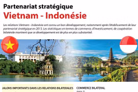 [Infographie] Partenariat stratégique Vietnam - Indonésie