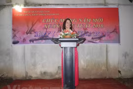 La communauté des Vietnamiens à l’étranger salue le Nouvel An lunaire 2018 