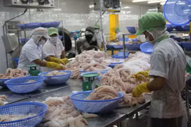 Bond des exportations de pangasius du Vietnam vers la Chine 
