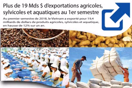 Plus de 19 Mds $ d’exportations agricoles, sylvicoles et aquatiques au 1er semestre