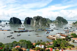 Pour mieux protéger l'environnement de la baie d'Ha Long
