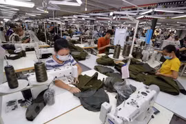 Des signes positifs pour le commerce Vietnam-République tchèque