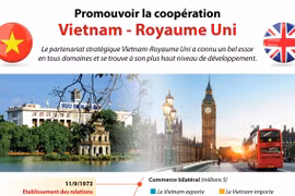 [Infographie] Promouvoir la coopération Vietnam - Royaume Uni