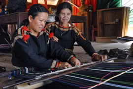 Dak Nông : Bientôt la 1ère Fête de la brocatelle du Vietnam