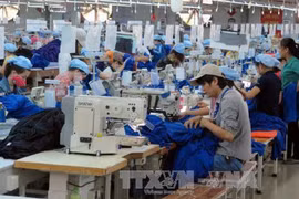 Textile-habillement : promotion des exportations en Australie