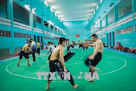 La cérémonie de départ de la délégation vietnamienne pour ASIAD 2018 aura lieu 9 août