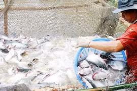 Près de 1,2 milliard de dollars d'exportations de pangasius en sept mois