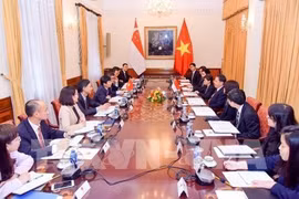 Réunion de consultation politique Vietnam - Singapour