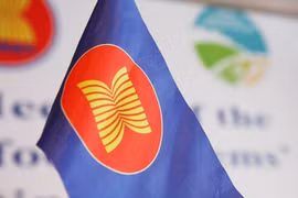 Célébration de la fondation de l'ASEAN en Afrique du Sud