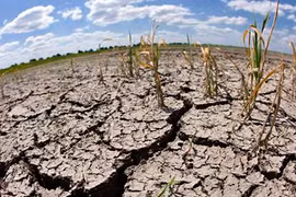 Forum de Hanoi sur l'amélioration de la résilience au changement climatique