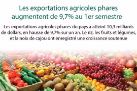 Les exportations de produits agricoles phares augmentent de 9,7% au 1er semestre