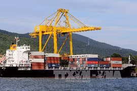 Les efforts de la ville Da Nang pour développer l’économie maritime