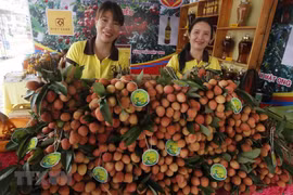 L’ambassadeur suédois apprécie la qualité des litchis de Thanh Ha