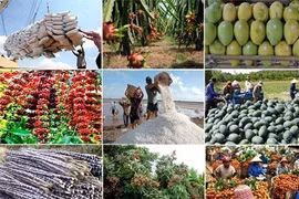 Les exportations de produits agricole, sylvicole et aquatique se chiffrent à 8,7 milliards d’USD