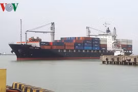 Le port de Da Nang accueille les premiers cargos de l'année du Chien