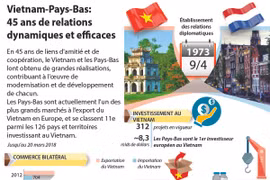 Vietnam-Pays-Bas: 45 ans de relations dynamiques et efficaces