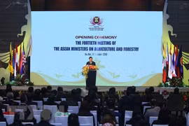 Saisir des opportunités pour promouvoir le secteur agro-sylvicole de l’ASEAN
