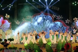 Ouverture de la fête de la fleur de bauhinie 2018 à Dien Bien