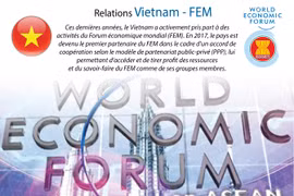 Les relations Vietnam - FEM en infographie