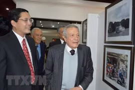 Le Vietnam et l’Egypte renforcent leurs relations en tous domaines