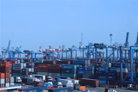 Forte croissance des exportations nationales de noix de cajou