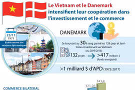 [Infographie] Coopération Vietnam - Danemark dans l’investissement et le commerce