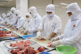 Hausse spectaculaire des exportations nationales de thon en Espagne