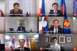 Le Vietnam copréside la 15e réunion du Comité mixte de coopération ASEAN-Japon 