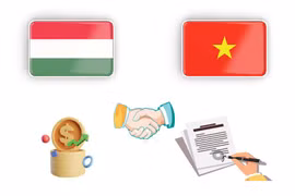Amitié traditionnelle Vietnam - Roumanie