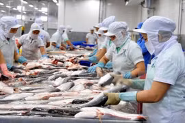 Le Vietnam oeuvre pour accélérer les négociations de l’OMC sur les subventions à la pêche