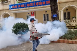 Hanoï recommande aux gens de rester vigilants face à la dengue
