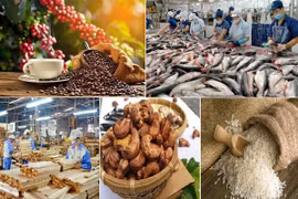 Les exportations de produits agricoles, sylvicoles et aquacoles en baisse en janvier