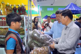 La 32e foire du ginseng de Ngoc Linh attire la foule 
