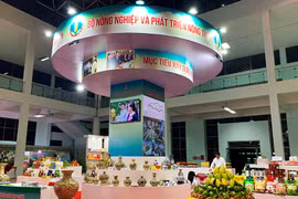 Foire agricole "One Commune One Product" (OCOP) 2020 à Lao Cai