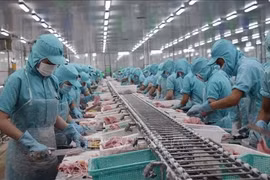 Soc Trang : la production industrielle et les exportations en forte hausse