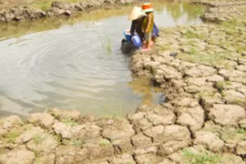 Les Pays-Bas aident à améliorer les capacités d'approvisionnement en eau dans le delta du Mékong