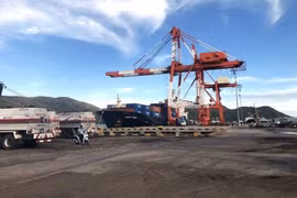 Le transport de marchandises via le port maritime de Quy Nhon en hausse de 12% en cinq mois