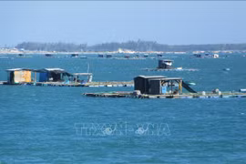 Développer l'aquaculture marine industrielle combinée au tourisme