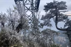 Une nouvelle vague de froid frappera les localités du Nord
