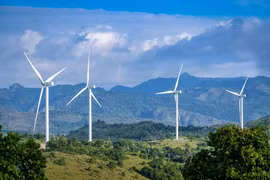 Promouvoir le crédit vert dans des projets de développement durable