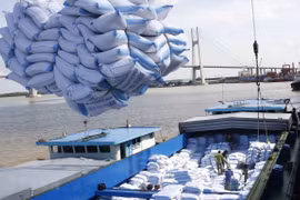 Le prix à l'exportation du riz vietnamien atteint un nouveau sommet