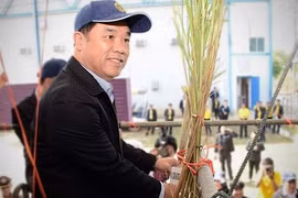 La Thaïlande cherche à développer l'industrie sucrière